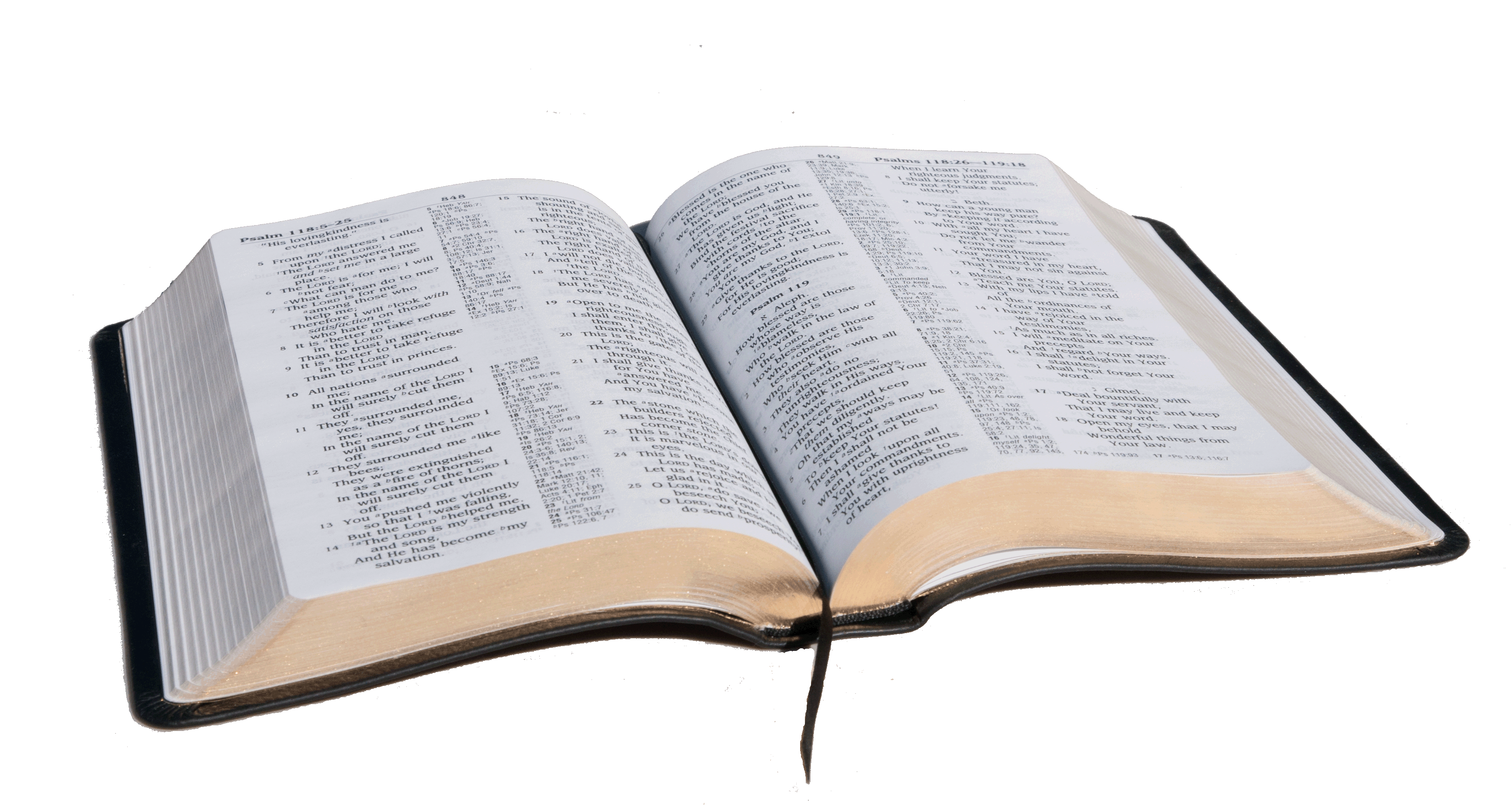 Open Bible