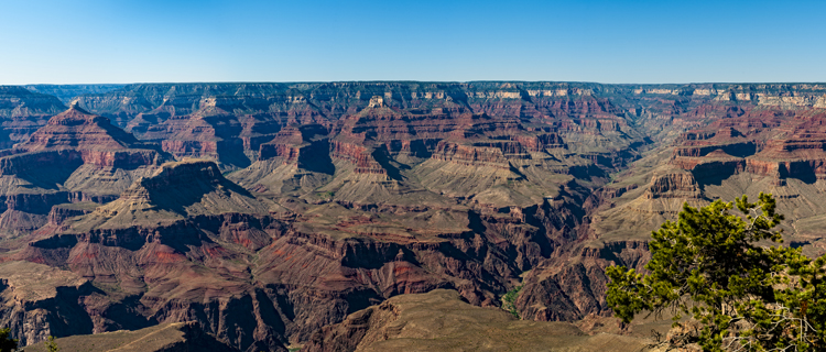 Grand Canyon small